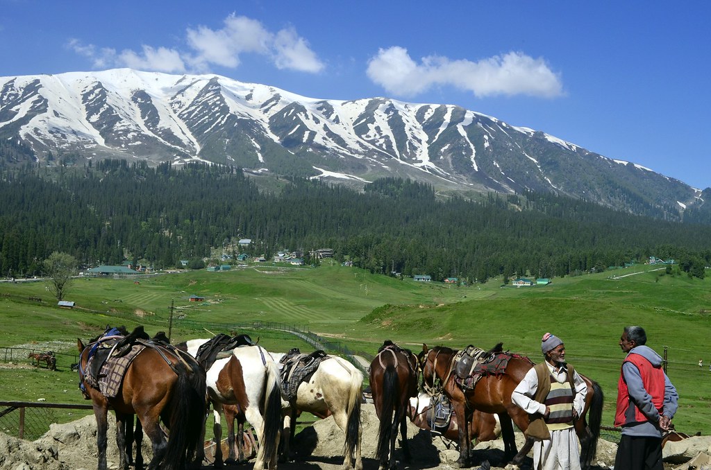 Horse stand in Kashmir,5 best places to visit in Kashmir